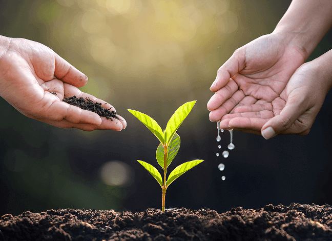 Sıfır Atık Geleceği Korumak İçin Bugün Atılan Adımlar