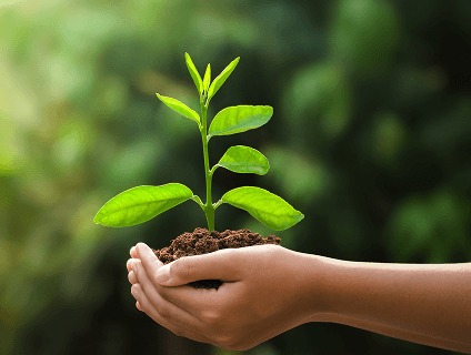 TADCEV Sıfır Atık Geleceği Korumak İçin Bugün Atılan Adımlar