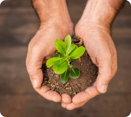 TADCEV Sıfır Atık Okul Seminerleri